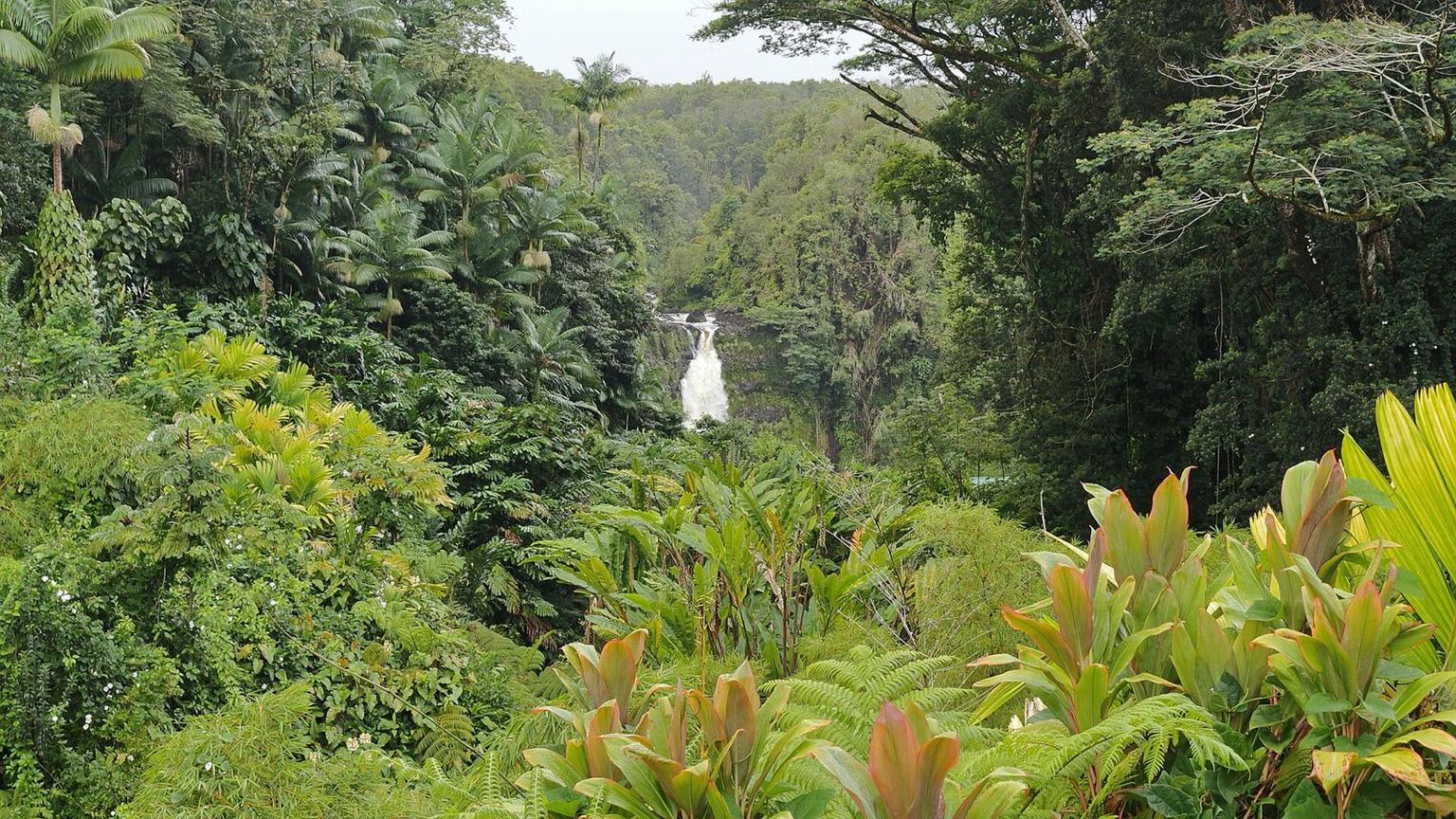 Big Island Road-Trip Food Guide: 10 Stops Around Hawaii Island